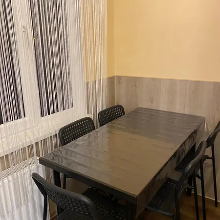 Cat Garden Business Riga