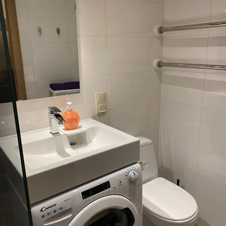 Apartament Cat Garden Business