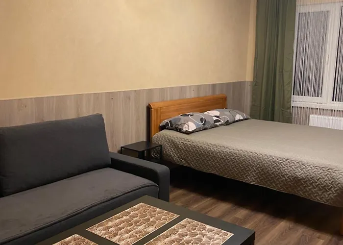 Cat Garden Business * Riga