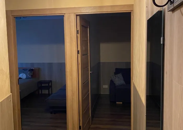 Cat Garden Business Apartment