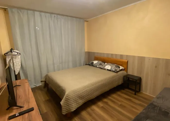 Cat Garden Business Riga